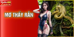 Mơ Thấy Rắn - Điềm Báo Tài Lộc Và Những Con Số May Mắn