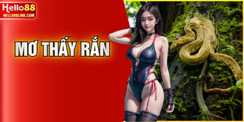 Mơ Thấy Rắn - Điềm Báo Tài Lộc Và Những Con Số May Mắn